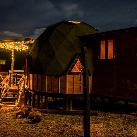 Los Nopales Glamping Sáchica Εξωτερικό φωτογραφία