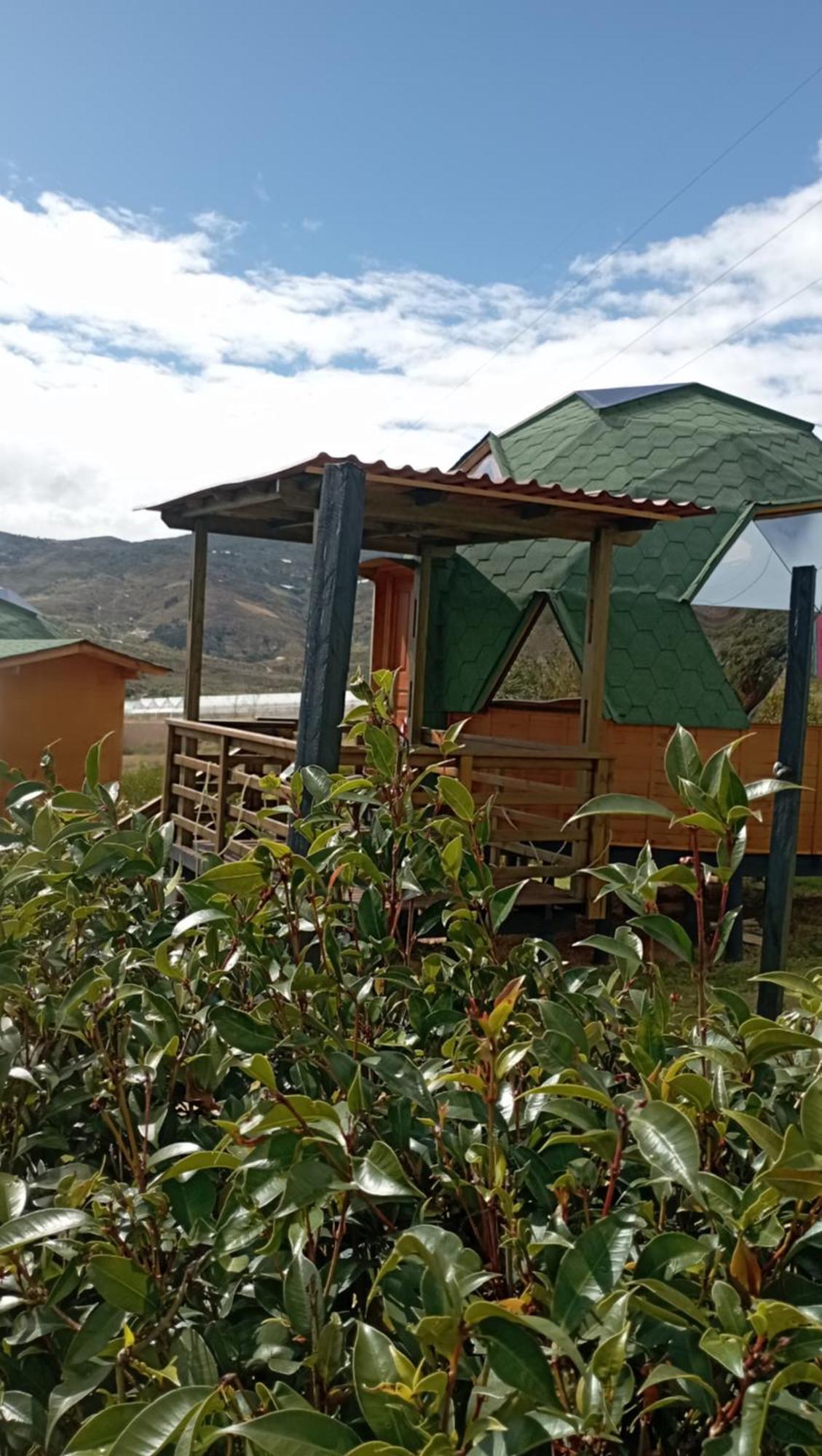 Los Nopales Glamping Sáchica Εξωτερικό φωτογραφία